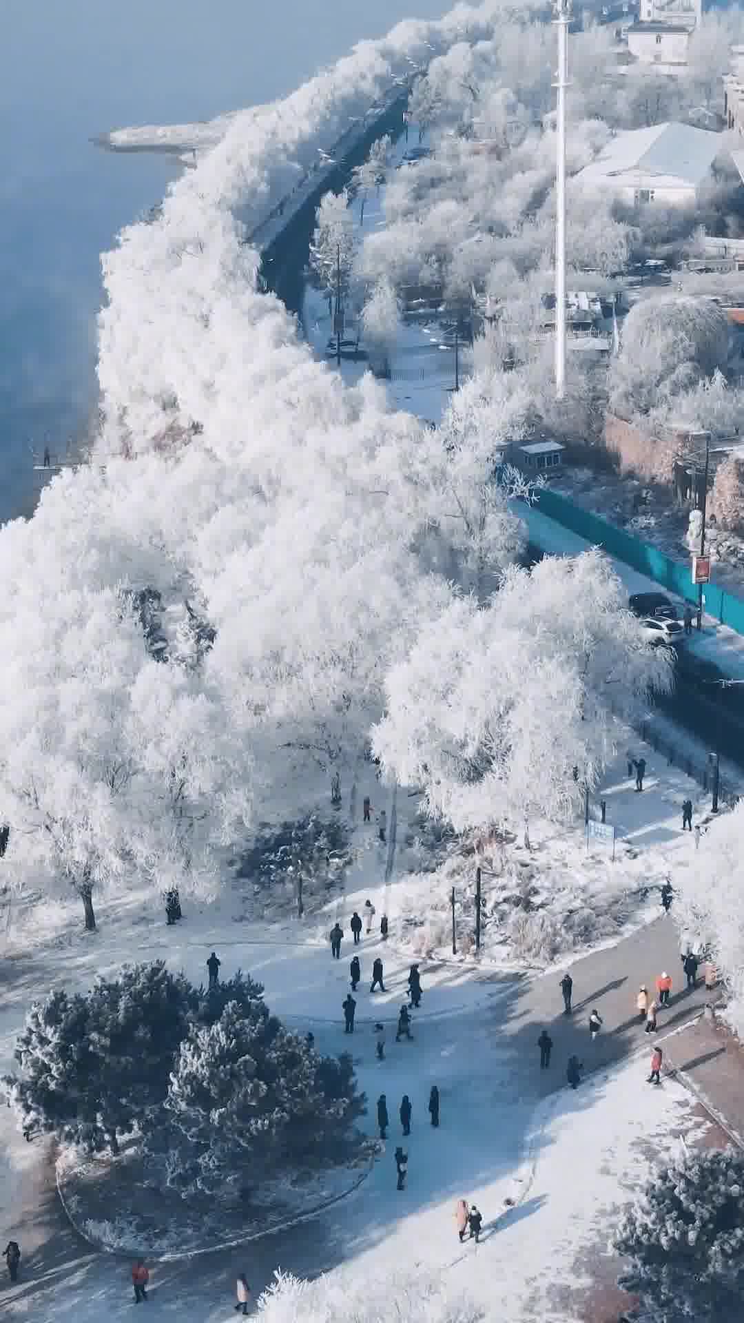 吉林，历史沉淀与时代华章的交响