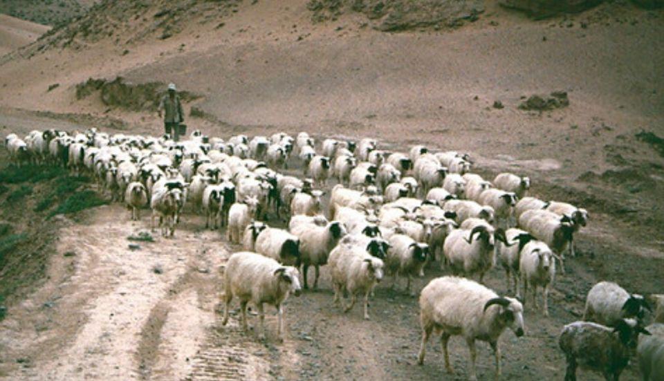 宁夏，深度解读与评论