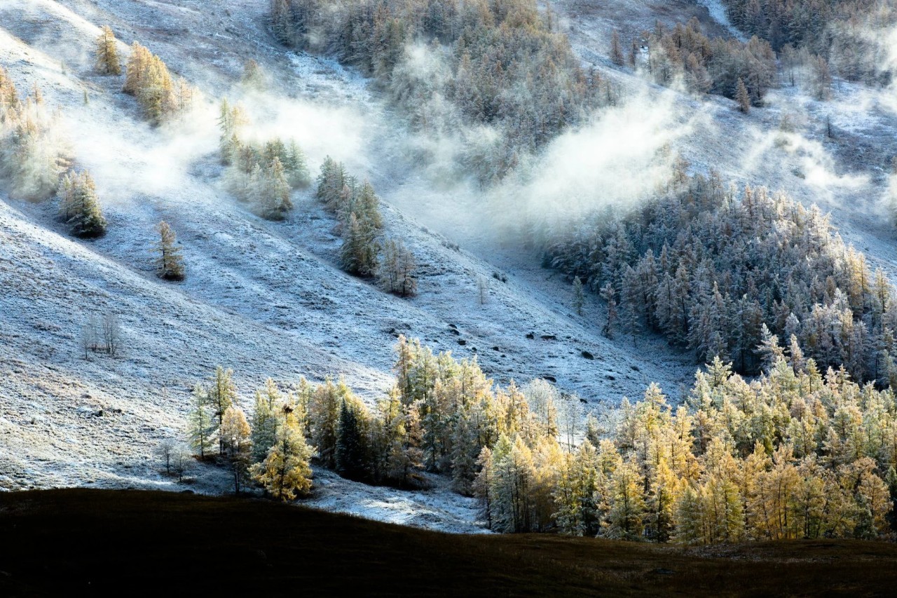 新疆之韵，探索独特文化与风情