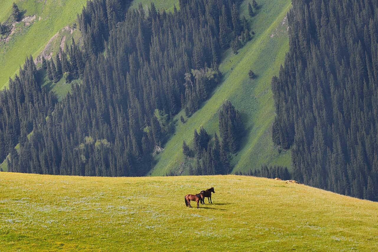 新疆之韵,探索独特文化与风情