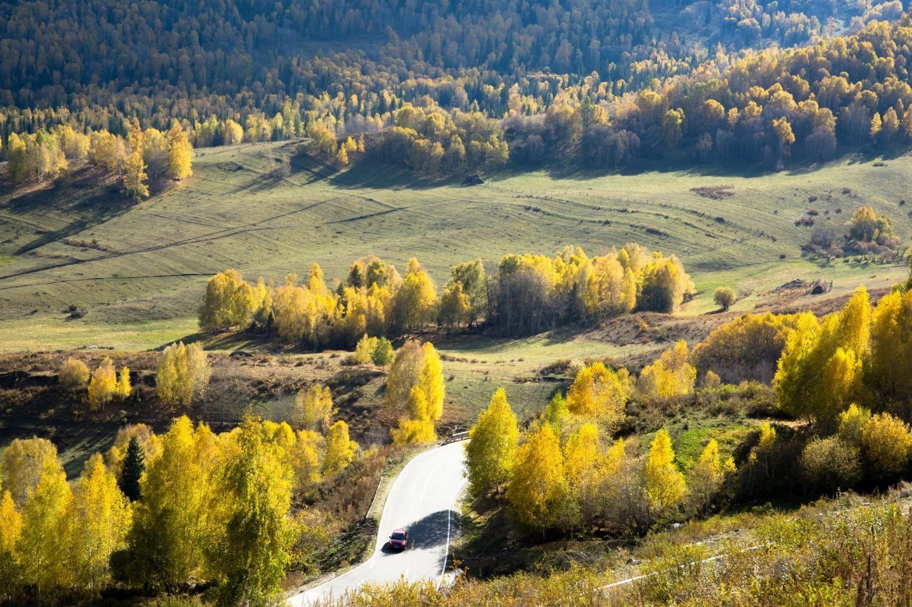 新疆之韵,探索独特文化与风情
