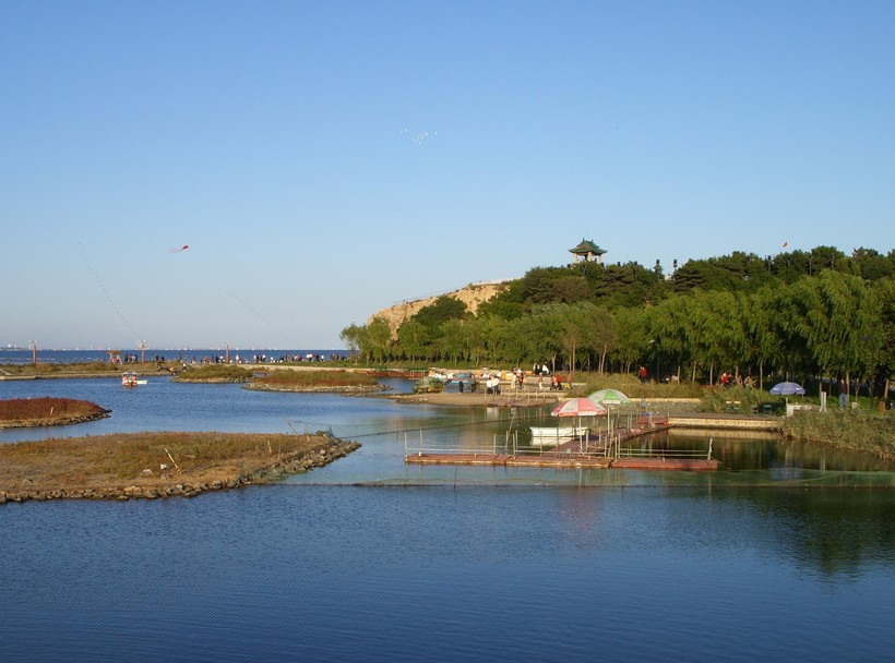 秦皇岛科技之旅，探索最新高科技产品的极致体验，海滨城市的科技之光