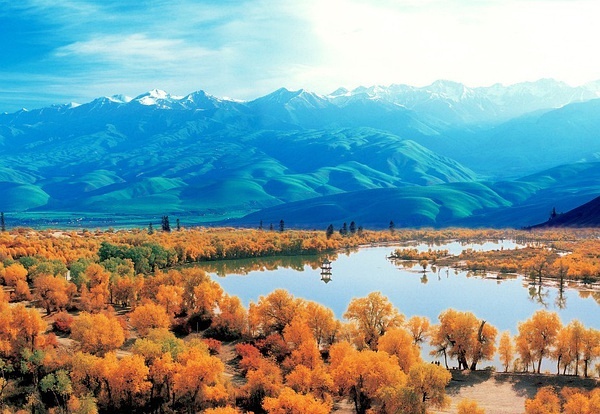 新疆,多元文化融合的璀璨明珠