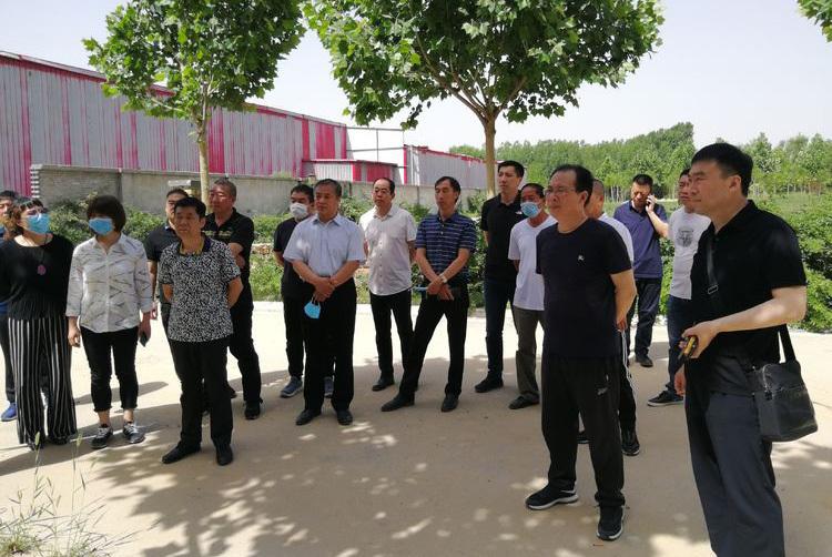 保定老友记,探寻保定市的小确幸