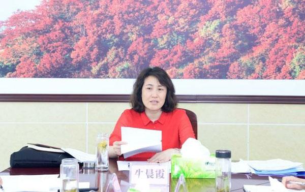 吕梁，深度解读与评论文章